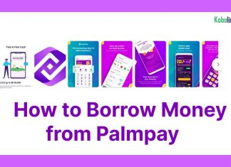 How to Borrow Money from PalmPay