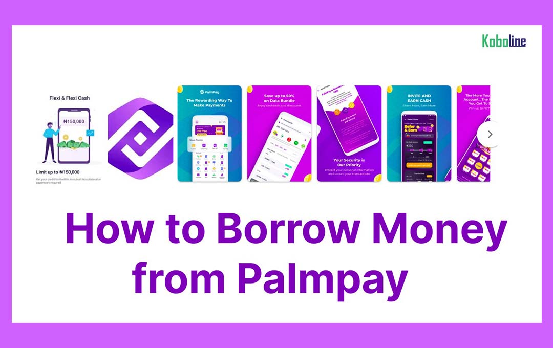How to Borrow Money from PalmPay