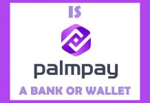 Is PalmPay a Bank or Wallet