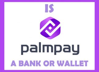 Is PalmPay a Bank or Wallet