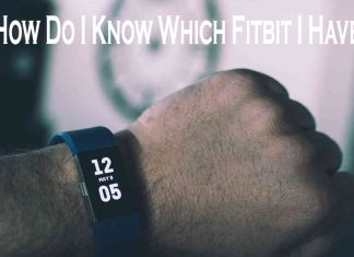 How Do I Know Which Fitbit I Have