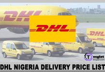 DHL Nigeria Delivery Price List 2024, Tracking Processes, Office Addresses, and Contacts DHL Nigeria Delivery Price List 2024