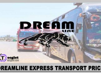 Dreamline Express Ticket Price