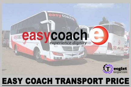 Easy Coach Ticket Price 2024