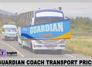Guardian Coach Transport Price, Online Booking, Contact And Address Guardian Coach Transport Price
