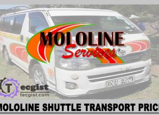 Mololine Shuttle Transport Price 2025, Online Booking, Contact And Address Mololine Shuttle Transport Price