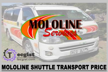 Mololine Shuttle Transport Price