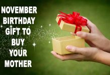 November Birthday Gift to Buy Your Mother 2023
