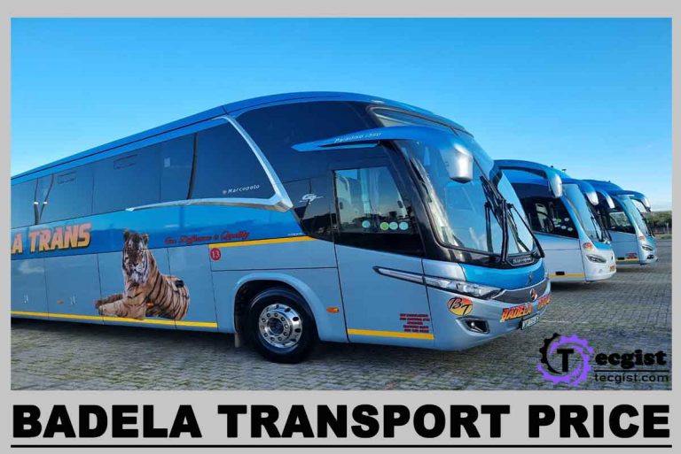 Badela Transport Prices 2024, Online Booking, Contact And Address