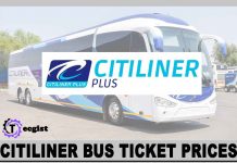 Citiliner Bus Ticket Prices 2024, Ticket Booking, Contact And Address Citiliner Bus Ticket Prices