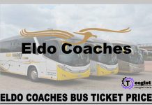 Eldo Coaches Bus Ticket Prices 2024, Online Booking, Contact And Address Eldo Coaches Bus Ticket Prices 2024