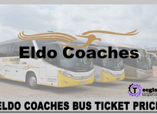 Eldo Coaches Bus Ticket Prices 2024, Online Booking, Contact And Address Eldo Coaches Bus Ticket Prices 2024