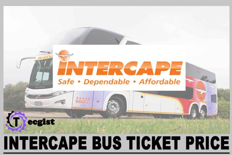 Intercape Bus Ticket Prices 2024, Contact And Address
