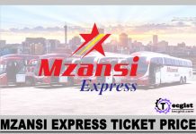 Mzansi Express Ticket Prices 2024, Online Booking, Contact And Address Mzansi Express Ticket Price