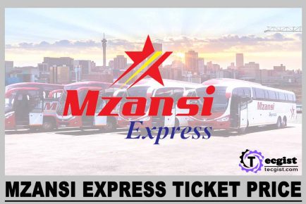 Mzansi Express Ticket Price