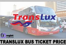 Translux Bus Ticket prices 2024, Online Booking, Contact And Address Translux Bus Ticket price