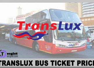Translux Bus Ticket price