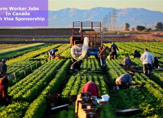 Farm worker Jobs in Canada with Free Visa Sponsorship