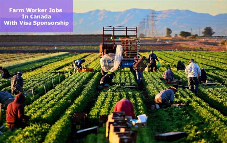 Farm worker Jobs in Canada with Free Visa Sponsorship