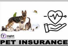 Pet Insurance
