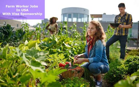 Farm worker Jobs in USA with Visa Sponsorship