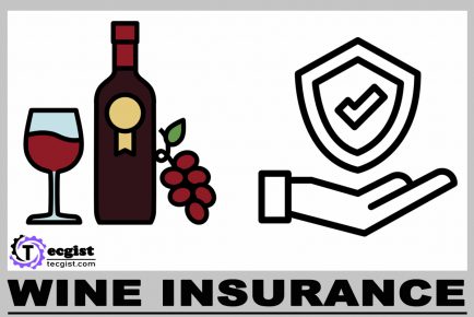 Wine Insurance