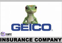 Geico Insurance