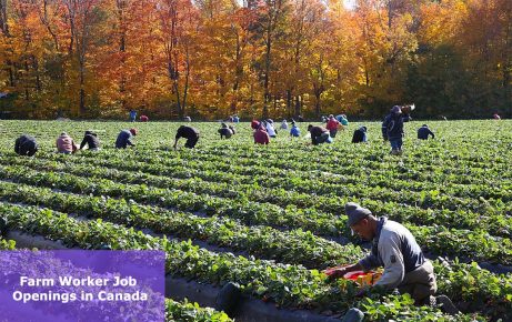 Farm Worker Job Openings in Canada