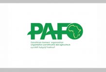 Job Openings at Pan-African Organization Job Openings at Pan-African Organization