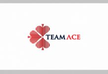 Job Openings at TeamAce Limited