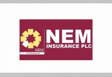Job Openings at NEM Insurance PLC Job Openings at NEM Insurance PLC