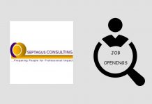 Job Openings at Septagus Consulting Nigeria Limited Job Openings at Septagus Consulting Nigeria Limited