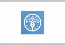 Job Openings at FAO