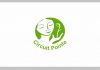 Job Openings at Circuit Pointe